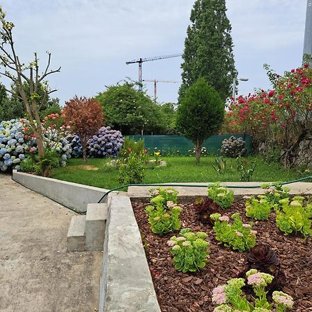 Garden House Ramalde Villa Porto Ngoại thất bức ảnh