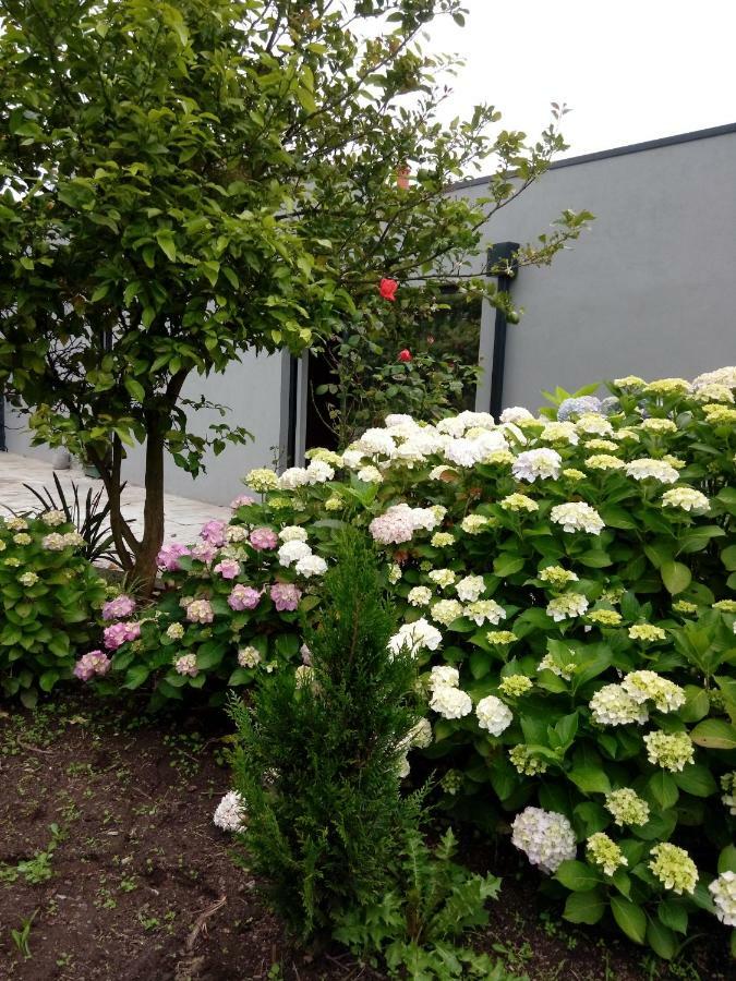 Garden House Ramalde Villa Porto Ngoại thất bức ảnh